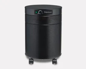 AirPura C600 DLX for Chemicals and Gas Abatement Plus Air Purifier