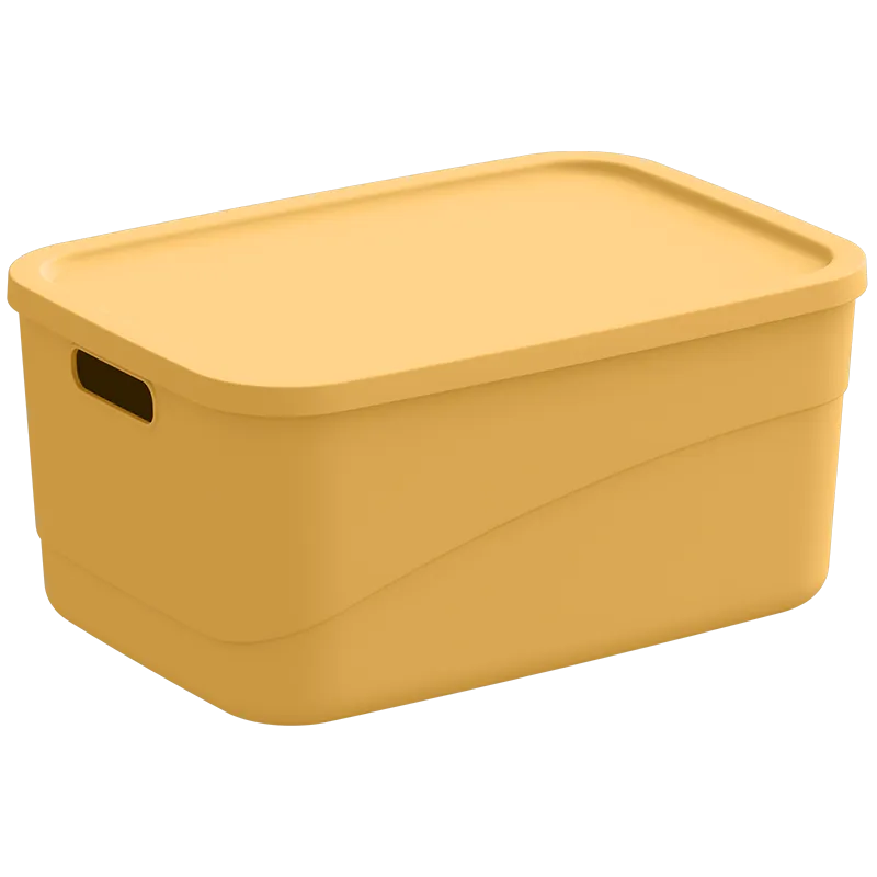 Multipurpose Storage Box?