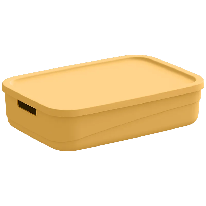 Multipurpose Storage Box?