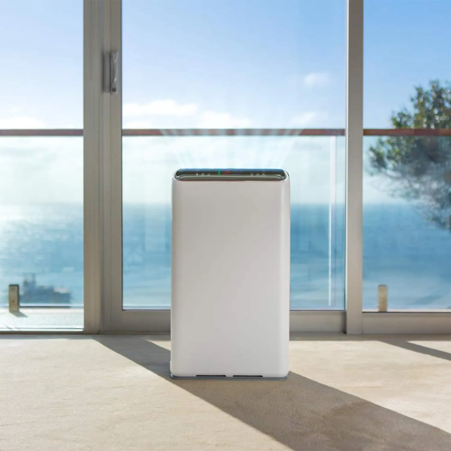 Remedical® Active Air Purifier Removes Odours, Dust, and More